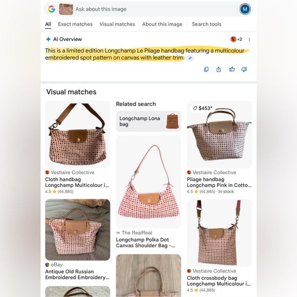 Longchamp Limited Edition Cloth Pliage Shoulderbag - Picture 13 of 13